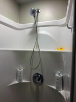 Handheld shower head