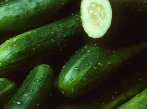 Cucumbers 75 cents lrg 25 cents small