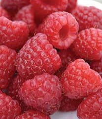 Heritage Red Raspberries $6.50/pint